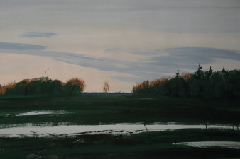 Мокрый луг, 1996 г.